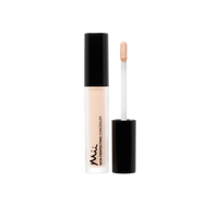 Mii Cosmetics Skin Perfecting Concealer