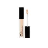 Mii Cosmetics Skin Perfecting Concealer