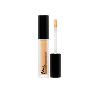 Mii Cosmetics Skin Perfecting Concealer