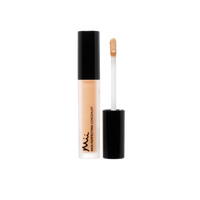 Mii Cosmetics Skin Perfecting Concealer