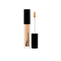 Mii Cosmetics Skin Perfecting Concealer