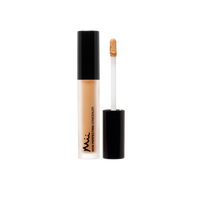 Mii Cosmetics Skin Perfecting Concealer