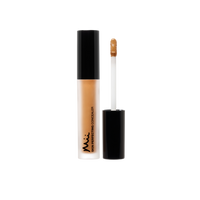 Mii Cosmetics Skin Perfecting Concealer