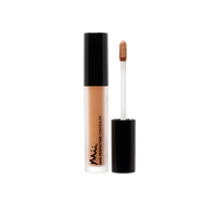 Mii Cosmetics Skin Perfecting Concealer