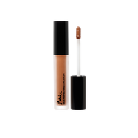 Mii Cosmetics Skin Perfecting Concealer