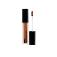 Mii Cosmetics Skin Perfecting Concealer