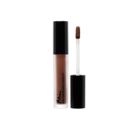 Mii Cosmetics Skin Perfecting Concealer