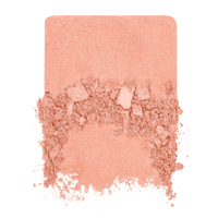 Make Up For Ever | Artist Blush