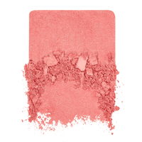 Make Up For Ever | Artist Blush