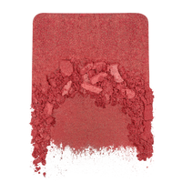 Make Up For Ever | Artist Blush