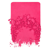 Make Up For Ever | Artist Blush