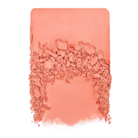 Make Up For Ever | Artist Blush