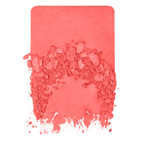 Make Up For Ever | Artist Blush