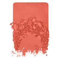 Make Up For Ever | Artist Blush