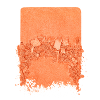 Make Up For Ever | Artist Blush