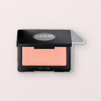 Make-Up For Ever Artist blush